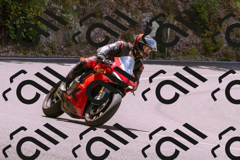 202506081243-_DSC8775_d1_