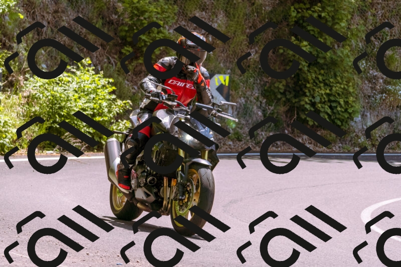 202506081244-_DSC8783_d1_