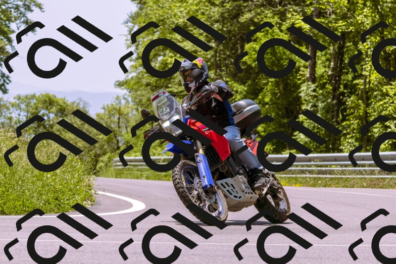 202506081245-_DSC8785_d1_