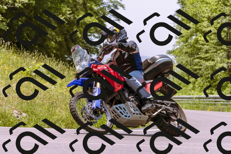 202506081245-_DSC8786_d1_