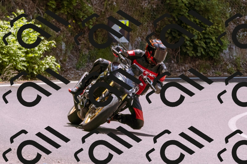 202506081245-_DSC8787_d1_