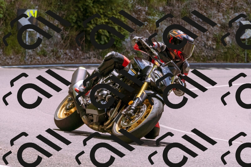 202506081245-_DSC8788_d1_