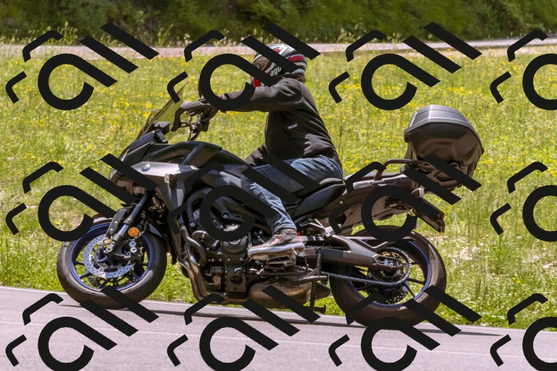 202506081246-_DSC8791_d1_