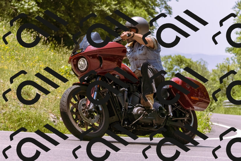 202506081247-_DSC8794_d1_