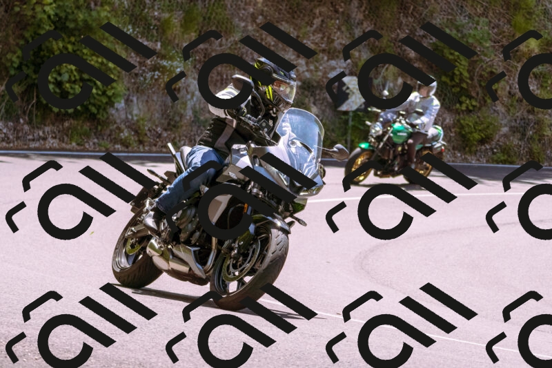 202506081252-_DSC8795_d1_