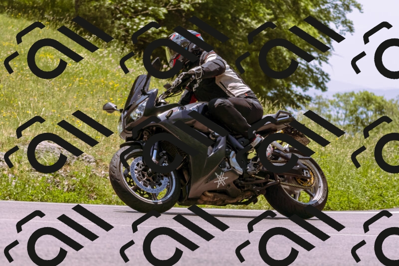 202506081258-_DSC8800_d1_