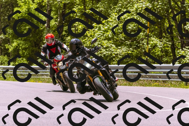 202506081300-_DSC8801_d1_