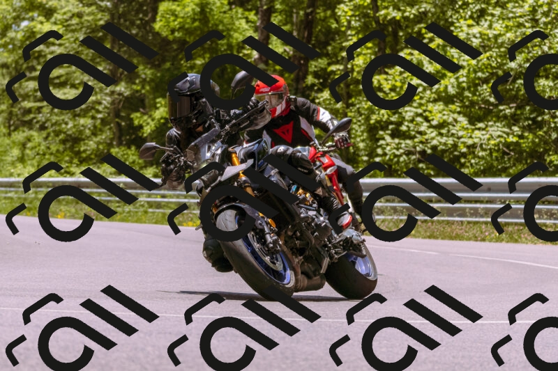 202506081300-_DSC8802_d1_