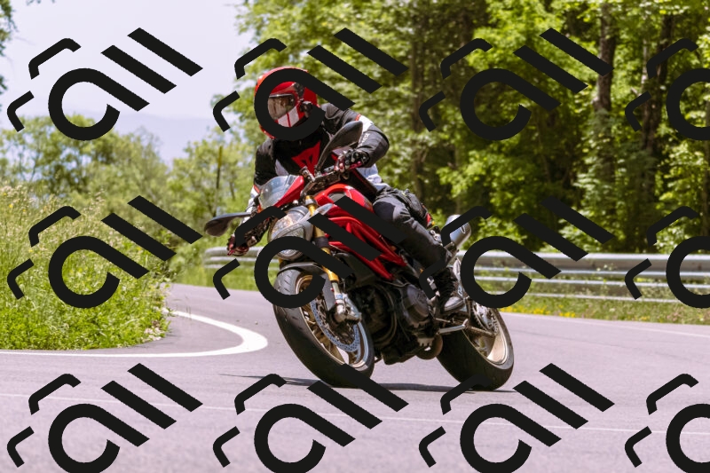 202506081300-_DSC8803_d1_