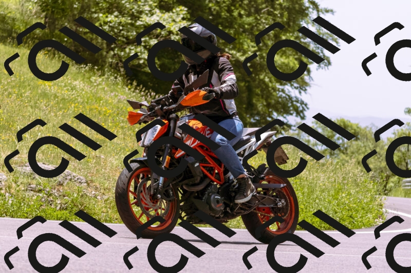 202506081301-_DSC8805_d1_