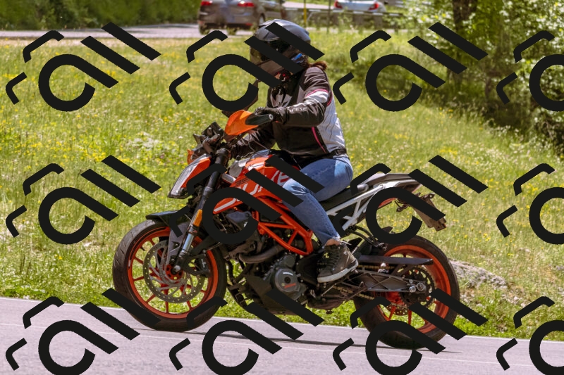 202506081301-_DSC8806_d1_