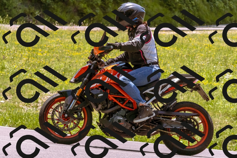 202506081301-_DSC8807_d1_