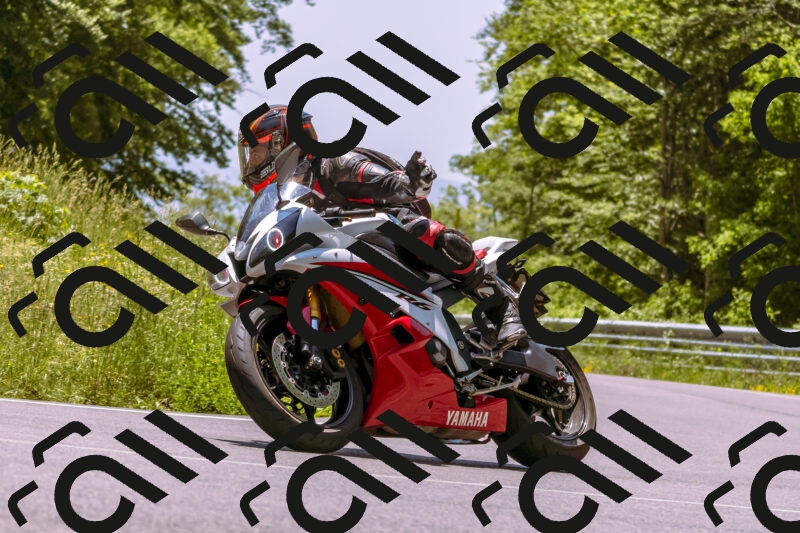 202506081304-_DSC8810_d1_