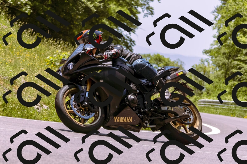 202506081304-_DSC8813_d1_