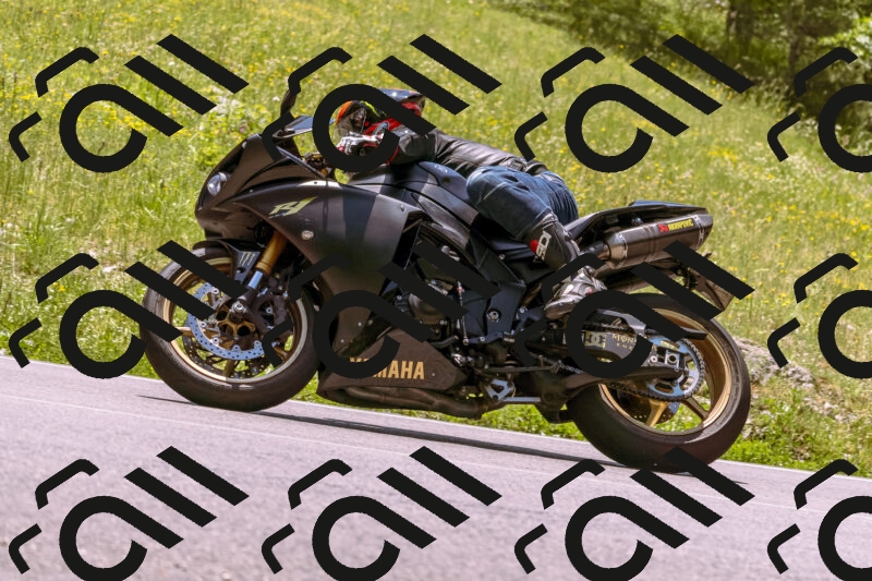 202506081304-_DSC8814_d1_