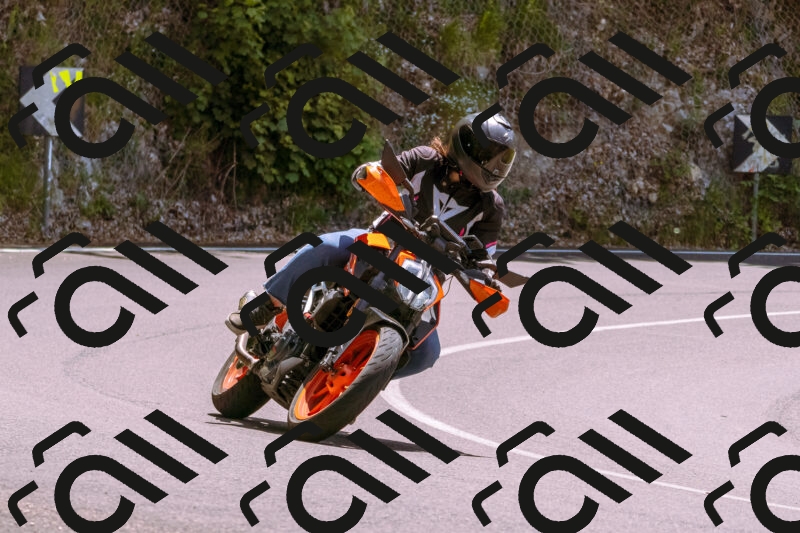 202506081304-_DSC8816_d1_