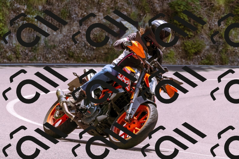 202506081304-_DSC8817_d1_