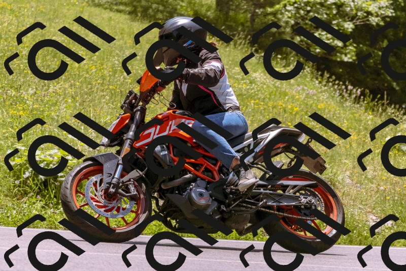 202506081305-_DSC8818_d1_