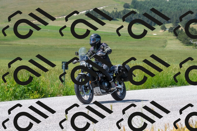 20250608110439-R01_3071_r1