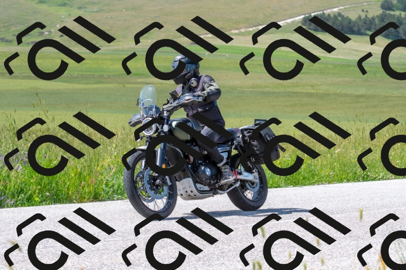 20250608110439-R01_3072_r1