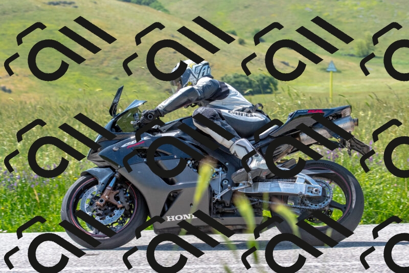 20250608110506-R01_3108_r1