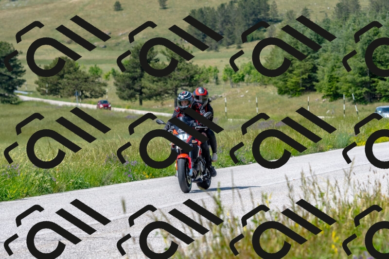 20250608111059-R01_3183_r1