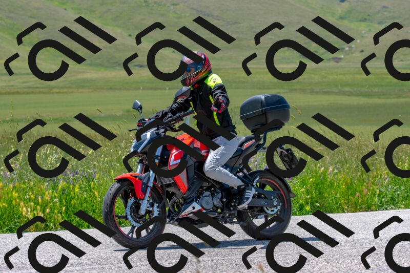 20250608120307-R01_3938_r1