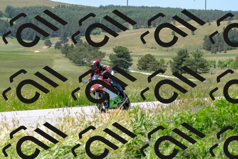 20250608120721-R01_3965_r1