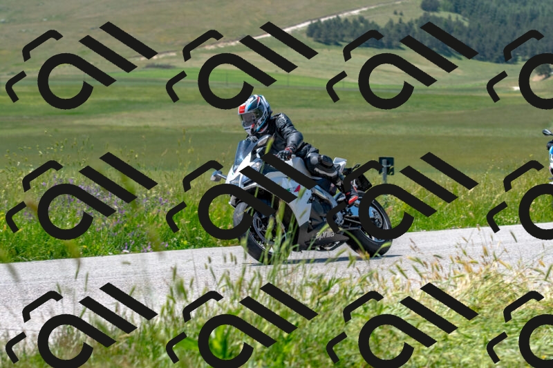 20250608121116-R01_3994_r1