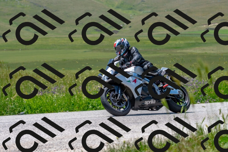 20250608121116-R01_3995_r1