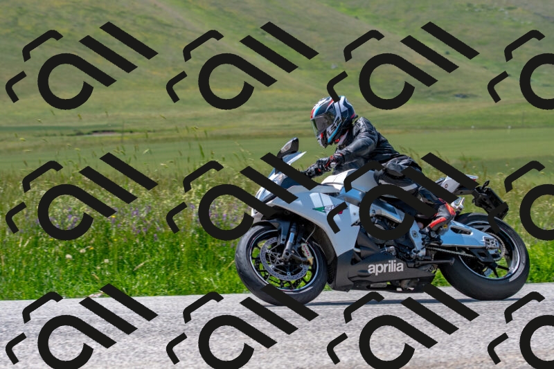 20250608121116-R01_3996_r1