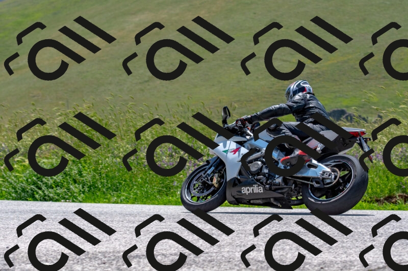 20250608121117-R01_3999_r1