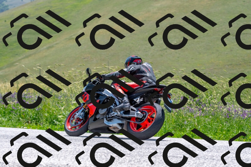 20250608121126-R01_4017_r1