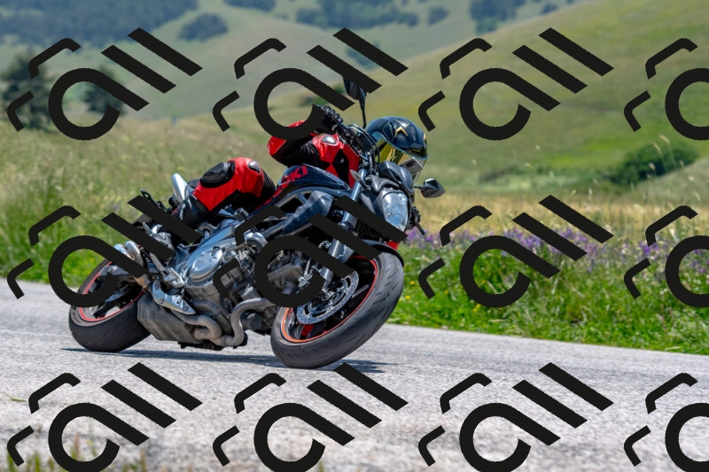 20250608123700-R01_4228_r1