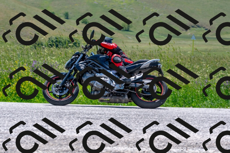 20250608123742-R01_4233_r1