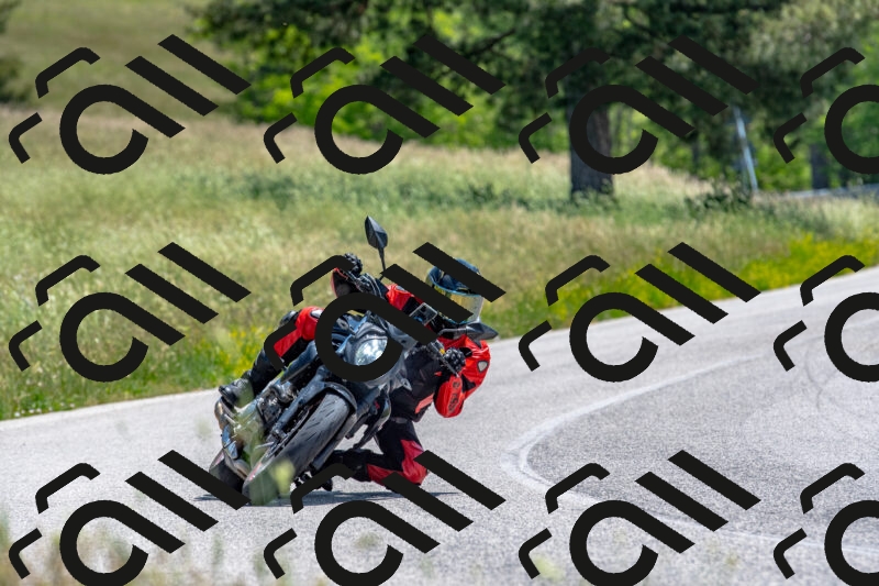 20250608123829-R01_4238_r1