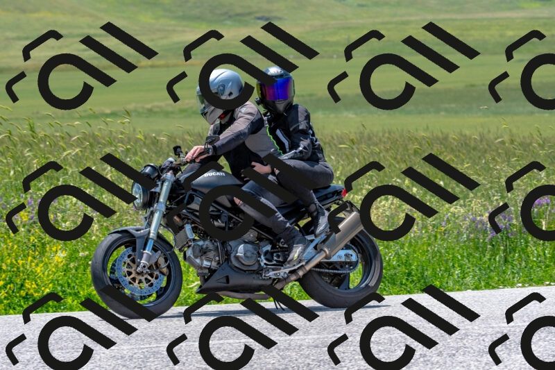 20250608124242-R01_4319_r1