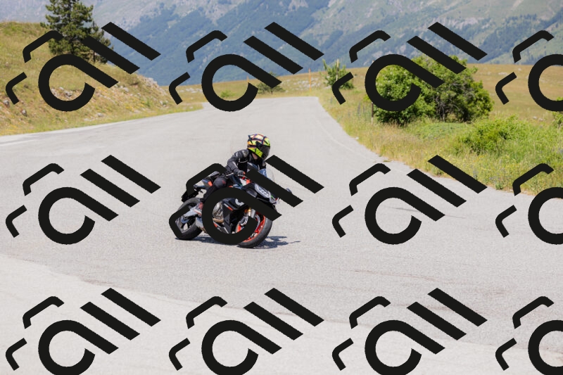 202506141305-_04A3046_c3_