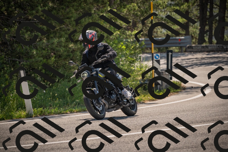 20250614102608-_Z620328_am_