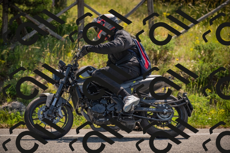 20250614102609-_Z620329_am_