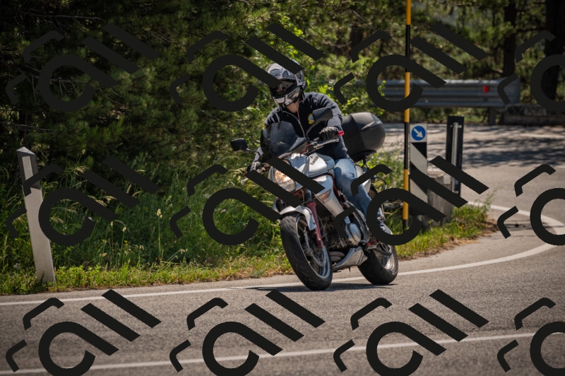 20250614110619-_Z620529_am_