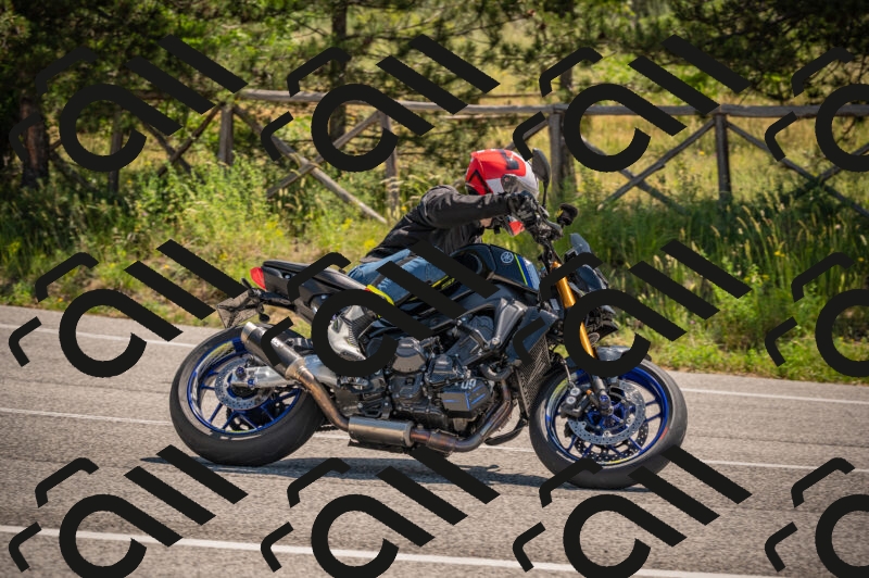 20250614111001-_Z620565_am_