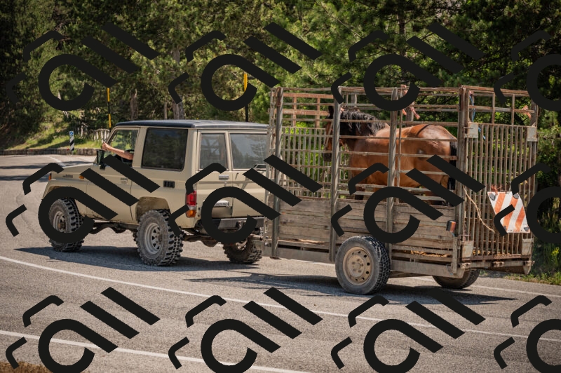 20250614112412-_Z620659_am_