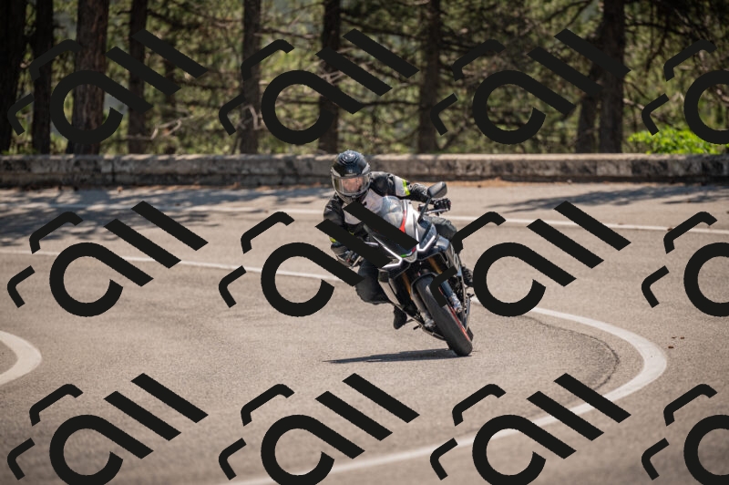 20250614113133-_Z620726_am_