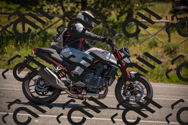 20250614113333-_Z620748_am_