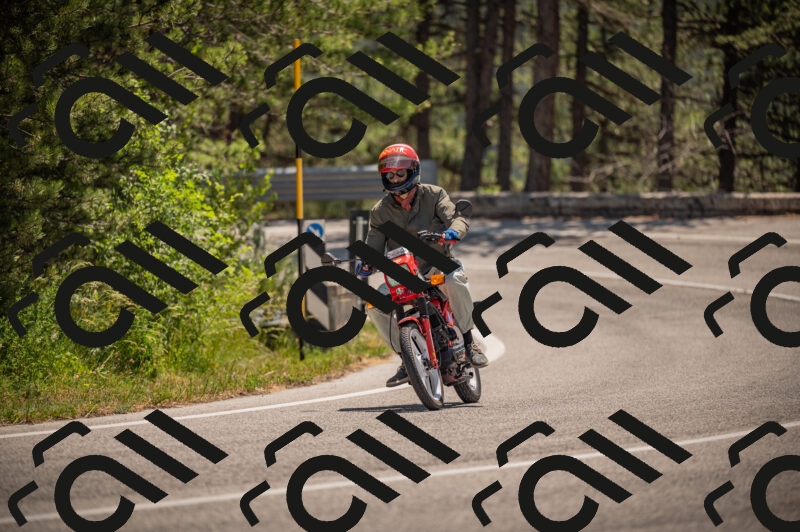 20250614120217-_Z621041_am_