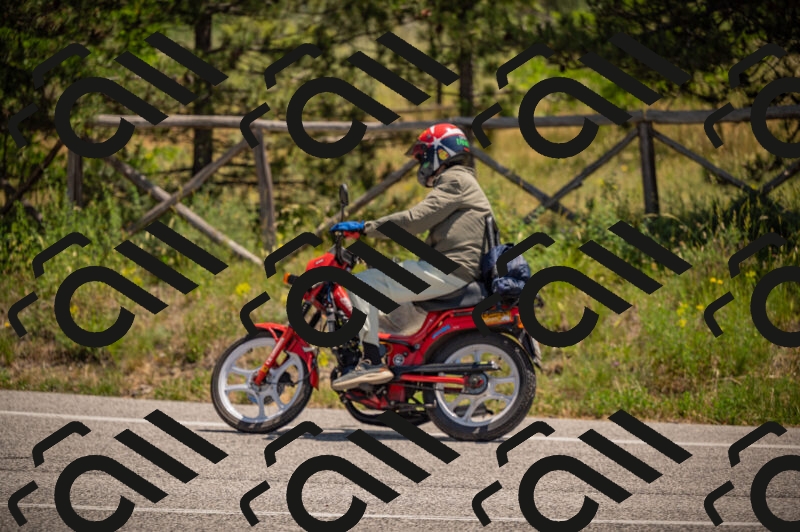 20250614120219-_Z621042_am_