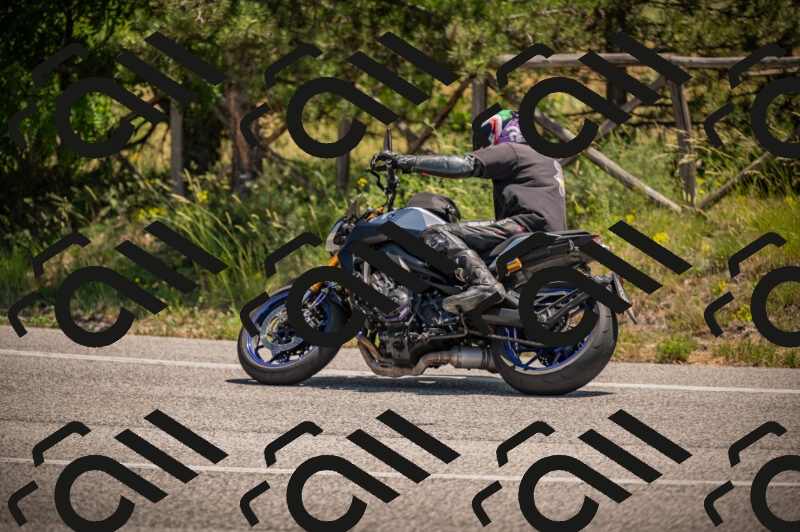 20250614120422-_Z621087_am_