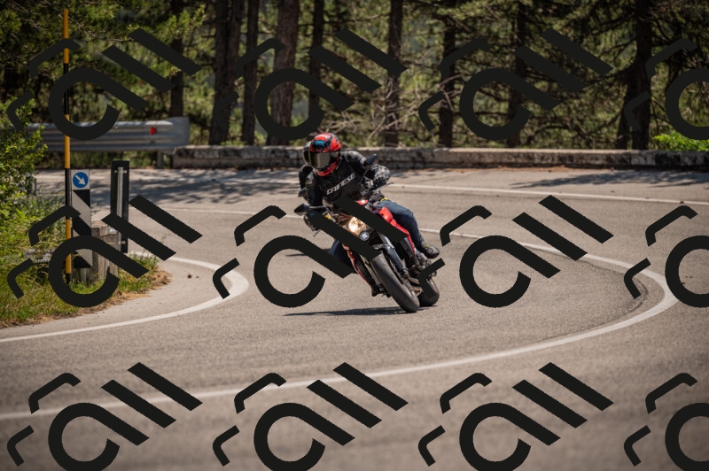 20250614121242-_Z621144_am_