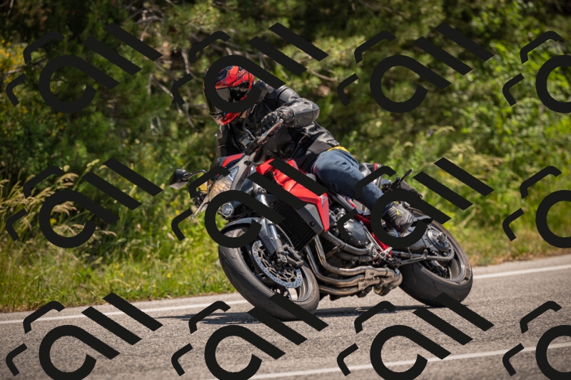 20250614121243-_Z621146_am_